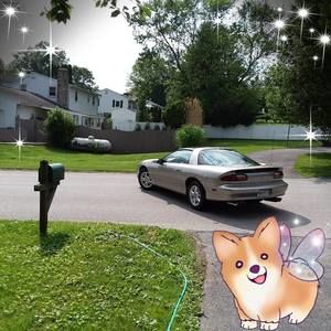 Meet your Posher, Jerry